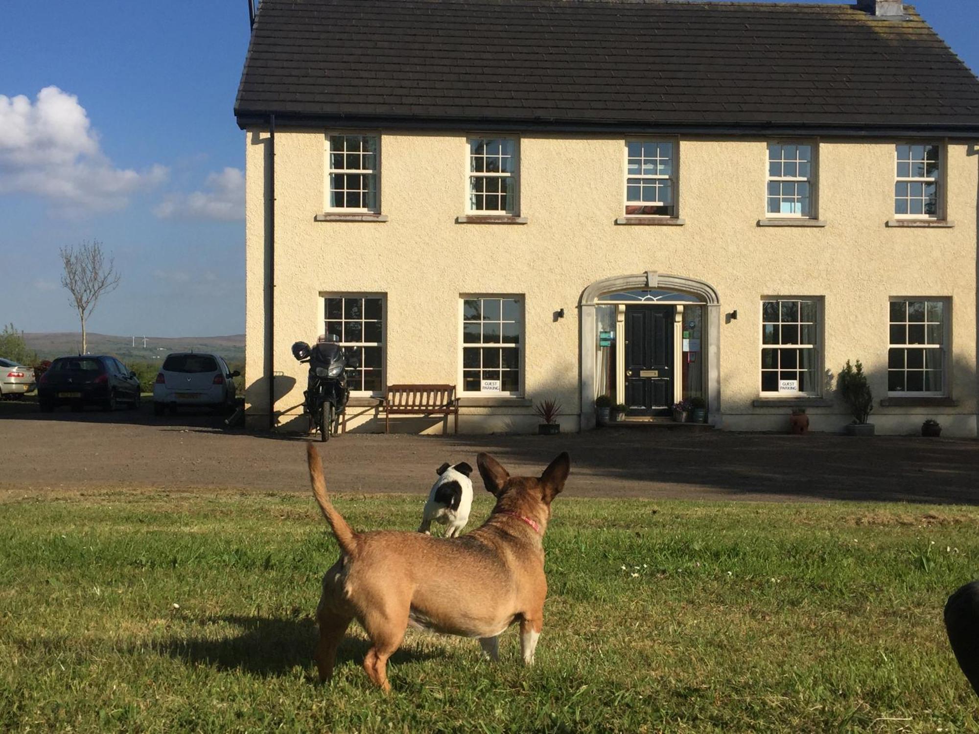 The Rocks B&B Crumlin  Esterno foto